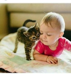 Babies Pics, Awesome Animals, Cat Kids, Kitten Love, Cat Stuff, Kitty Cats, Tandem