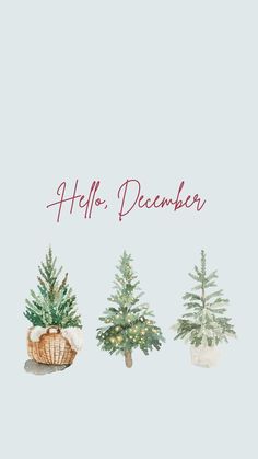 three christmas trees in baskets with the words hello december written on them, and an image of