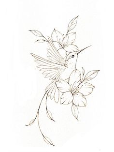 a drawing of a hummingbird sitting on a flower