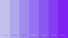 the color purple is shown in shades of violet and lila, which are very similar to each other