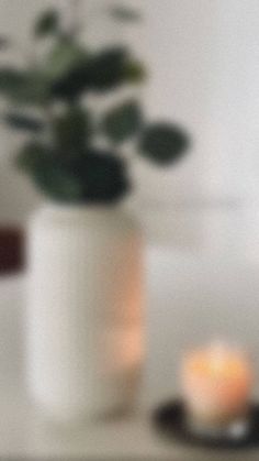 two lit candles sitting on top of a table next to a potted plant