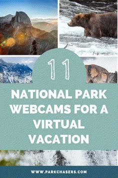 national park webcams for a virtual vacation with text overlay that reads 11 national park webcams for a virtual vacation