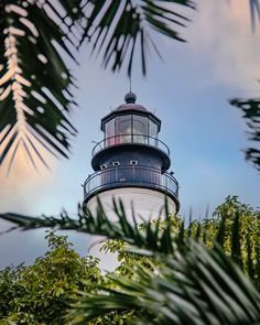 the light house is surrounded by trees and leaves on a sunny day with blue skies in the background