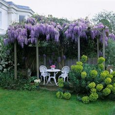 a table and chairs in the middle of a garden with purple flowers growing on it