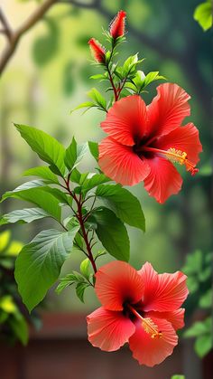 two red flowers with green leaves in front of a blurry background that looks like a painting