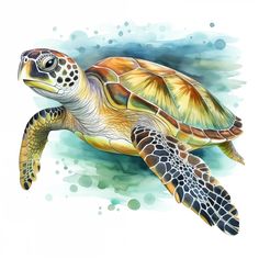 a watercolor painting of a green sea turtle swimming in the ocean with bubbles around it