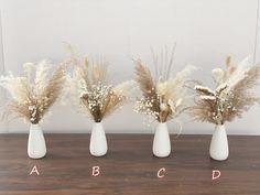 three white vases with dried flowers in them and the letters abc, c, d