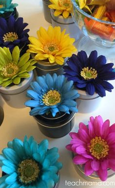 there are many colorful flowers in small tins