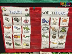 two bulletin boards with different types of insect life cycles on them and the words insect not an insect