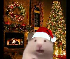 a large white rat wearing a santa hat in front of a christmas tree