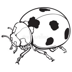 a black and white drawing of a ladybug on its back legs with spots