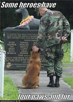 I need one of these, too. Military Working Dogs, Military Dogs, Love My Dog, Foto Tips, Dog Memorial, Working Dogs, Service Dogs, Baby Dogs, Doberman