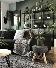 a living room filled with furniture and lots of plants