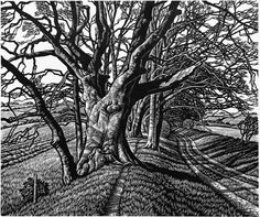 a black and white drawing of a tree in the middle of an open field with grass