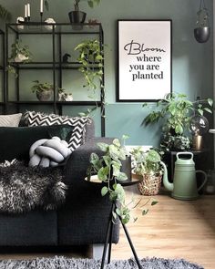 a living room filled with furniture and lots of plants on top of it's shelves