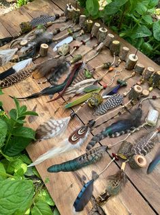 many different types of feathers are laid out on a wooden table in front of green plants