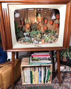 an old fashioned television with succulents and plants on it