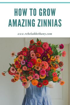 a woman holding a bouquet of flowers with text overlay reading how to grow amazing zinnas