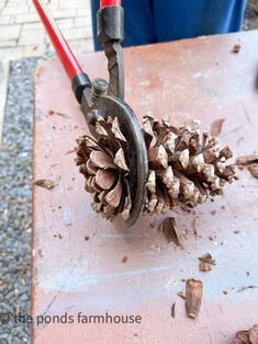 Cut pinecone core to craft a DIY wreath that looks like sunflowers Halloween Pinecone Wreath, Pinecone Topiary Diy, Pinecone Diy Crafts, Pinecone Uses, Acorn Caps Crafts, How To Make A Pine Cone Wreath, Magnolia Cones Crafts, Pine Cone Art Pinecone Decor, Diy Pinecone Tree