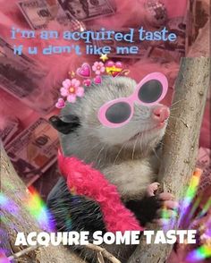 a ferret with sunglasses and a pink flower on its head sitting in a tree