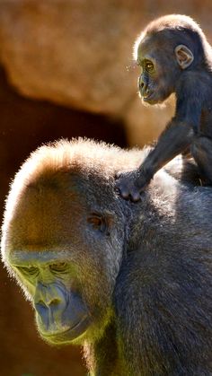 By Ion   Moe Photography