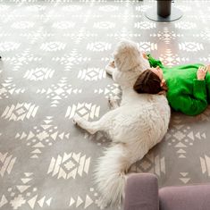 a small white dog wearing a green shirt