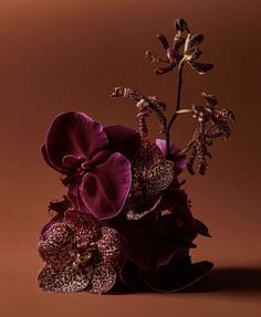 an arrangement of orchids in a vase on a brown background with pink and purple colors