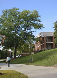 a person walking down a sidewalk in front of a building with trees on the side