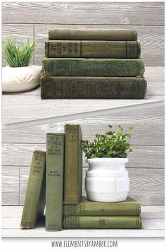 three books stacked on top of each other next to a potted plant in front of them