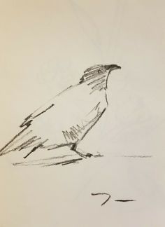 a drawing of a bird sitting on the ground