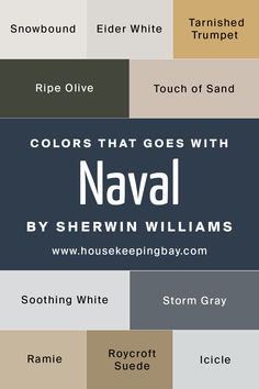 the names and colors of different types of paint swatches for walls, ceilings or floors