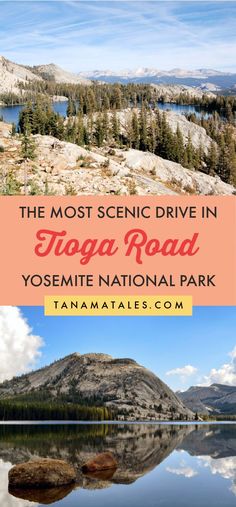 the most scenic drive in yosemite national park