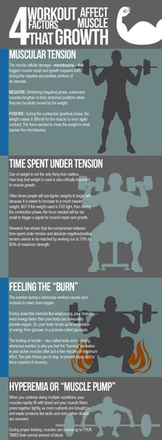 an info poster showing the different types of muscles and how they are used to perform