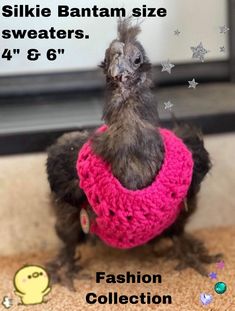 a small bird with a pink sweater around its neck