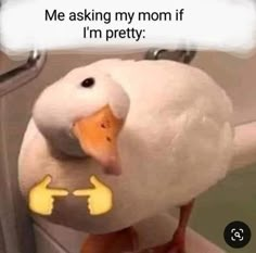 a white duck sitting on top of a toilet seat next to a mirror with the caption me asking my mom if i'm pretty