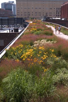 people walking on the roof of a building with green roofs and flowers growing in the foreground