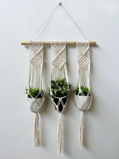 three macrame planters hanging on a wall with succulents in them