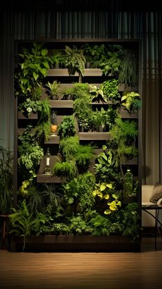 a living room filled with lots of green plants