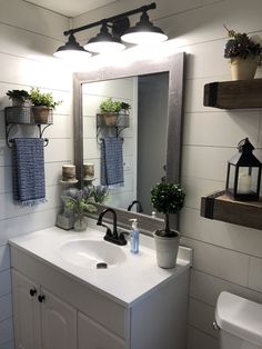 a bathroom with a sink, mirror and potted plants on the shelf above it