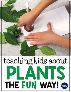 a poster for teaching kids about plants the fun way