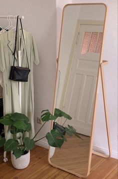 a mirror sitting on top of a wooden floor next to a potted green plant