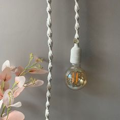 two light bulbs hanging from the side of a gray wall with flowers in vases next to them