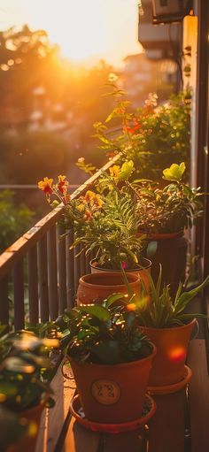 several potted plants are sitting on a porch railing as the sun sets in the background