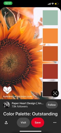 an orange sunflower with the color palettes on it and text that reads, paper heart design art