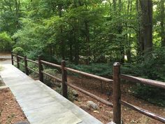 there is a wooden walkway in the woods