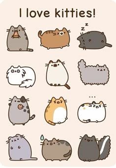 a bunch of cats that are in different colors and sizes with the words i love kitties