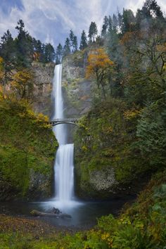 a waterfall with a bridge over it in the middle of some trees and bushes on both sides