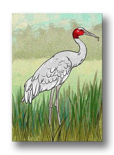 a painting of a crane standing in tall grass