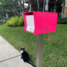 a black and white cat sitting in front of a mailbox with the number 2166 written on it