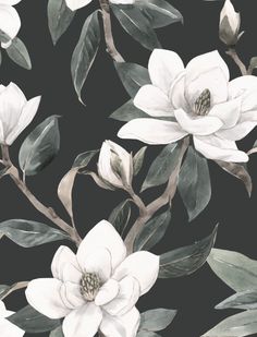 white flowers and green leaves on a black background